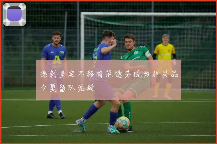 热刺坚定不移将范德芬视为非卖品今夏留队无疑